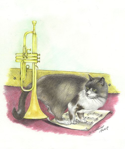 Le chat de la trompettiste