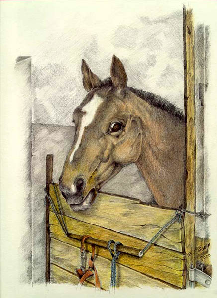 Cheval Au Box Cheval Au Box